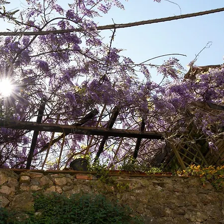 Il Principe Di Stifone - Affitti Brevi Italia Appartamento *