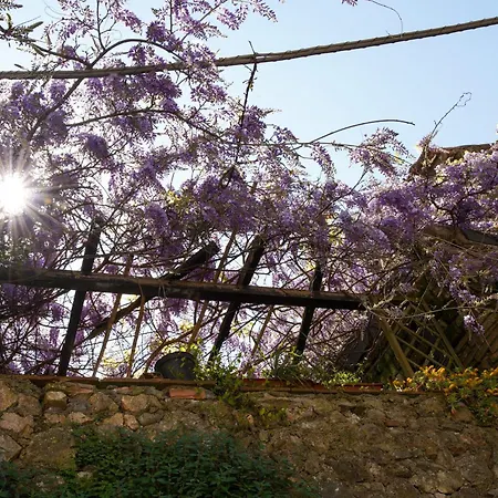 Il Principe Di Stifone - Affitti Brevi Italia * Narni