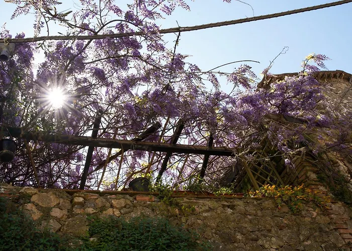 Il Principe Di Stifone Appartement *