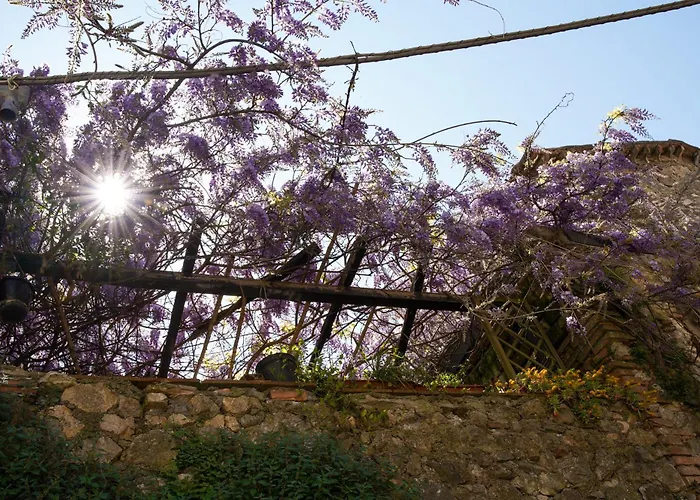 Il Principe Di Stifone * Narni